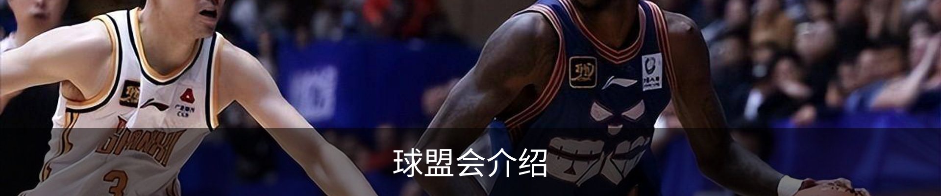 球盟会介绍